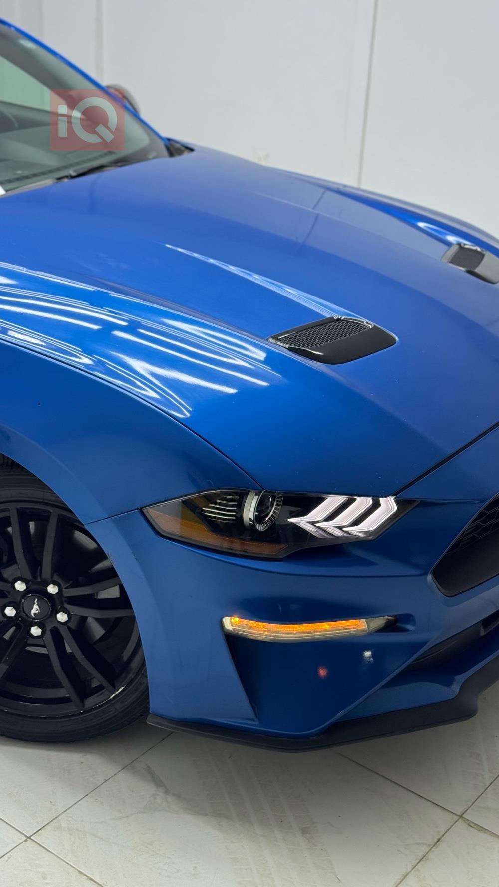 فۆرد مۆستانگ